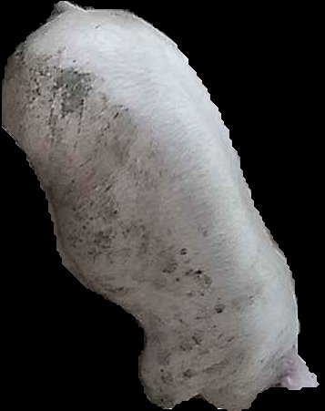 Crop