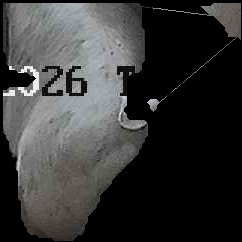 Crop