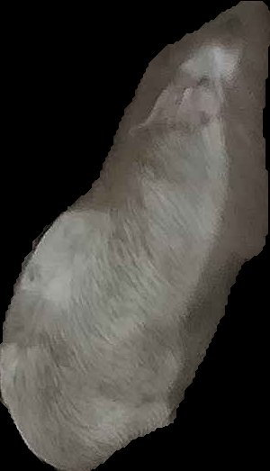 Crop