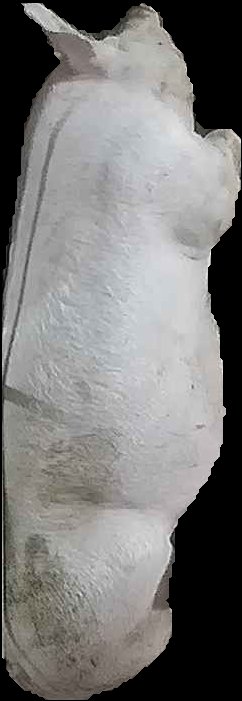 Crop