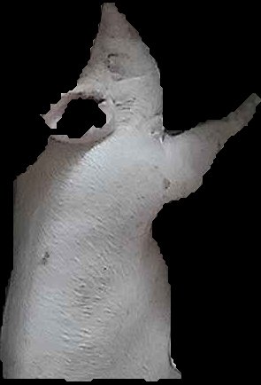Crop