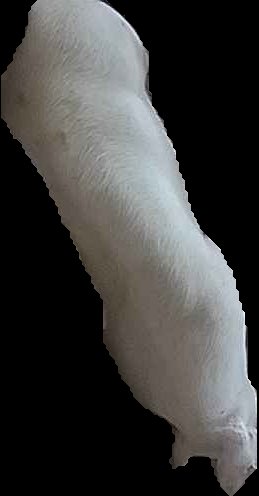 Crop