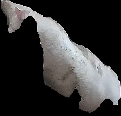 Crop