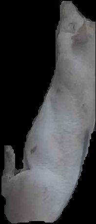 Crop