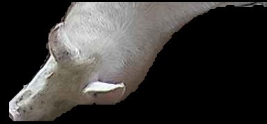 Crop
