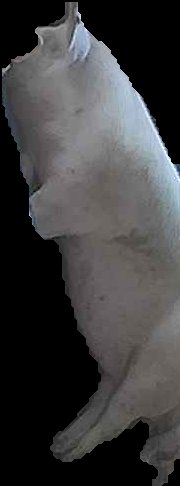 Crop