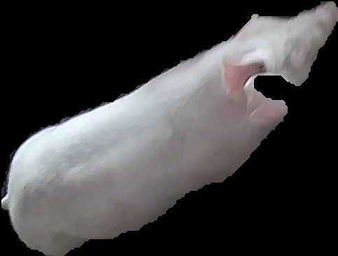 Crop