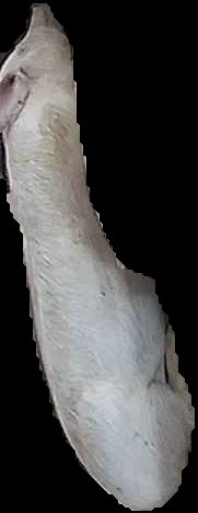 Crop