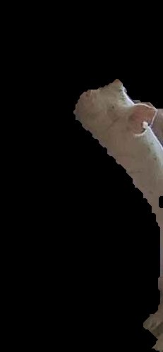 Crop