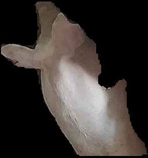 Crop