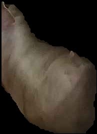 Crop