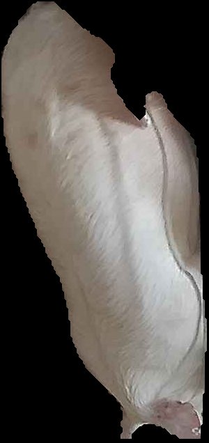 Crop
