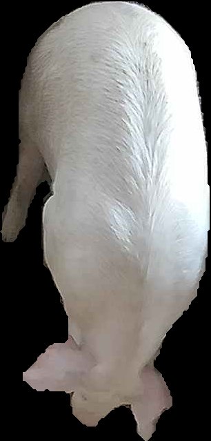 Crop