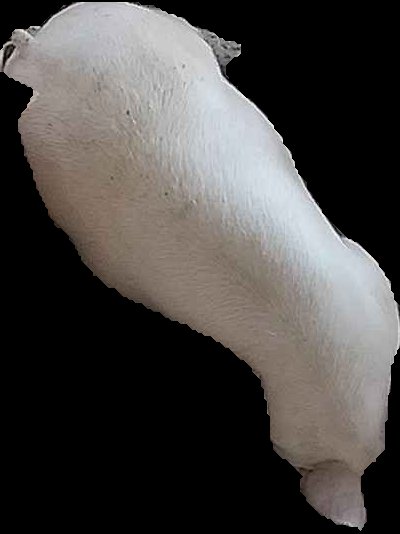 Crop