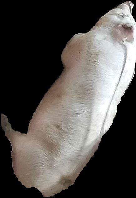Crop