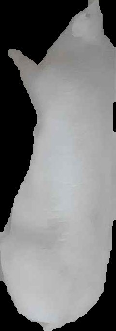 Crop