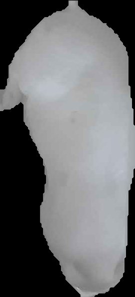 Crop