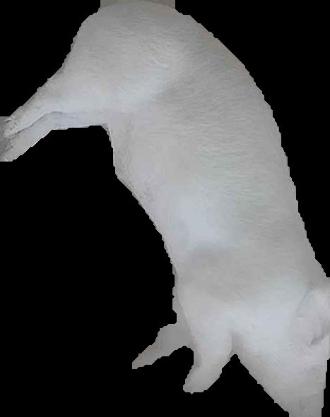 Crop