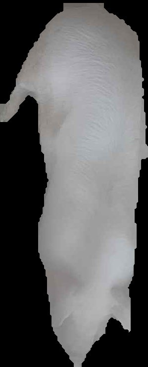 Crop