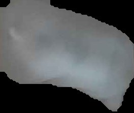 Crop