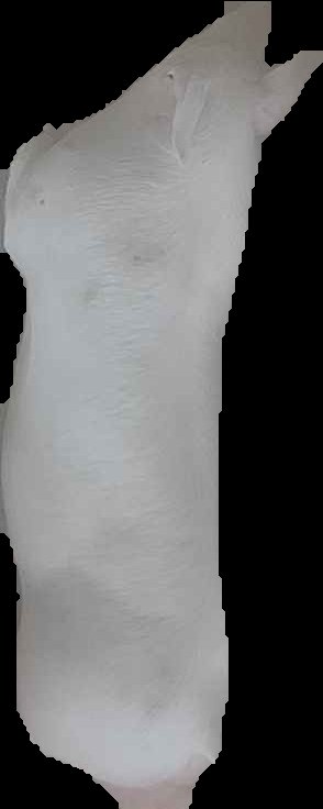 Crop