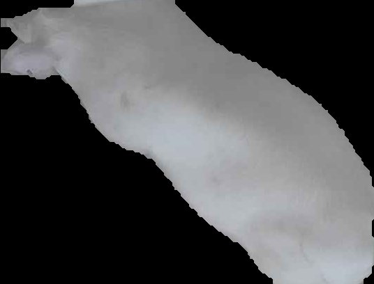 Crop