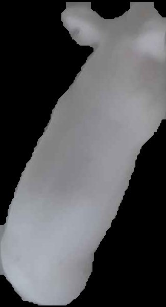 Crop