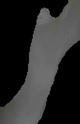 Crop