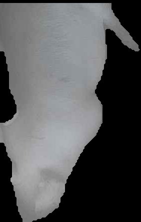 Crop