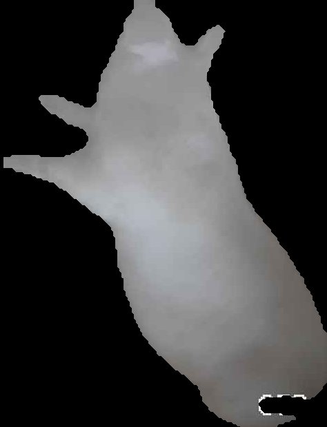 Crop