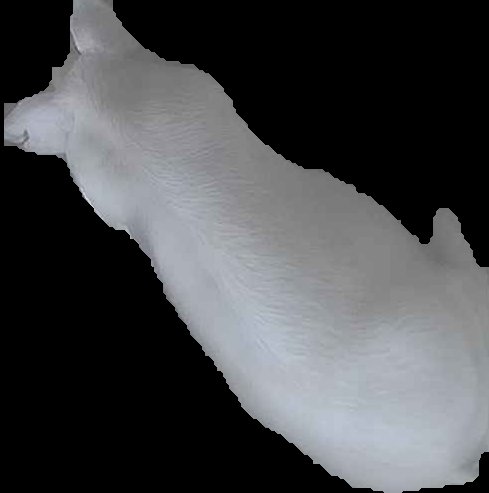 Crop