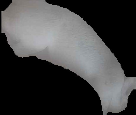 Crop