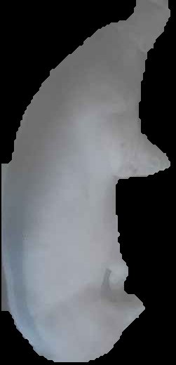 Crop