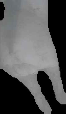 Crop