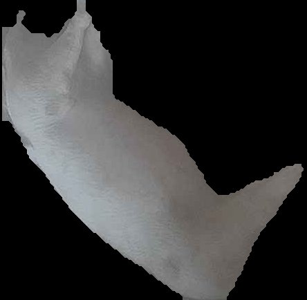 Crop