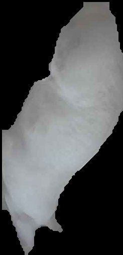 Crop