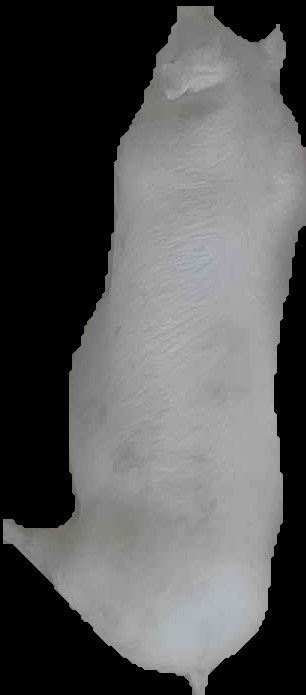 Crop