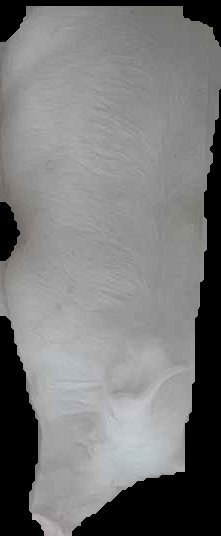 Crop