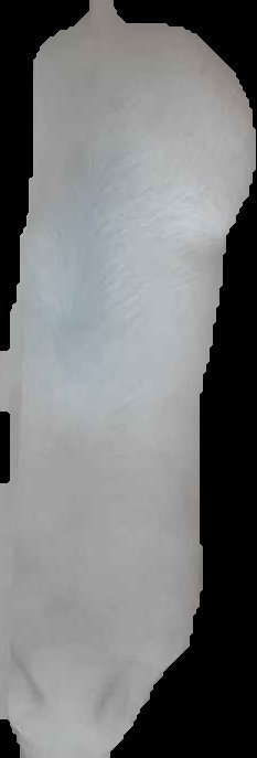 Crop