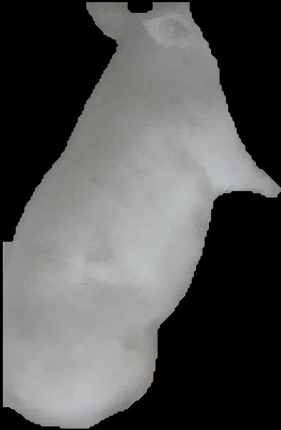 Crop