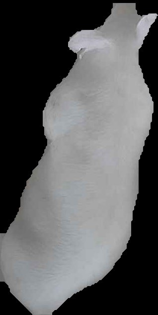 Crop