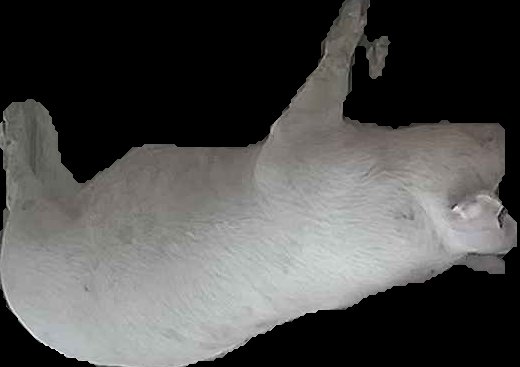 Crop
