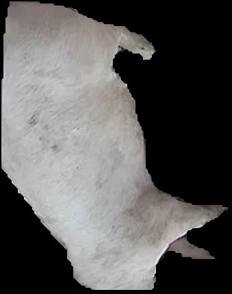Crop
