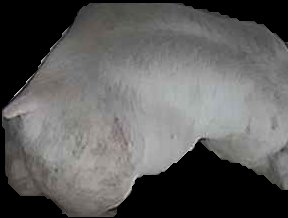 Crop