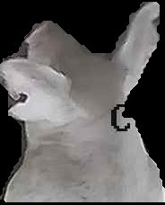 Crop
