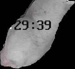 Crop