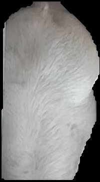 Crop