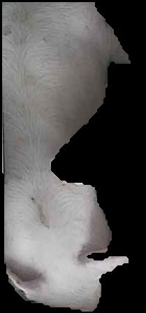 Crop