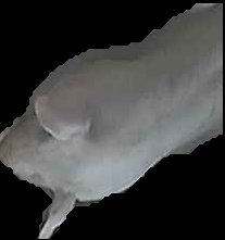 Crop