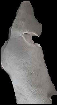 Crop